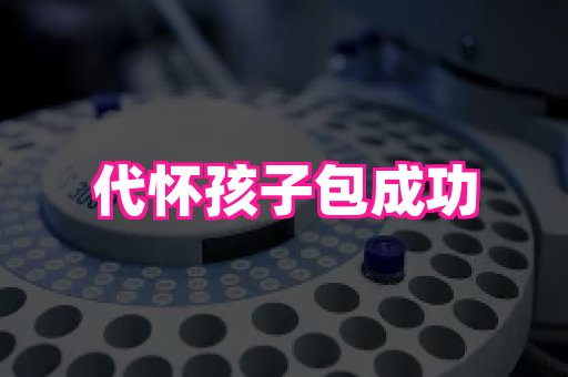 幸孕 1
